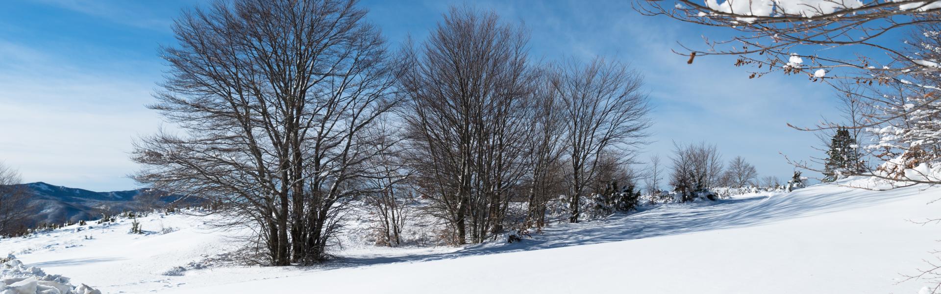 Santo Stefano d'Aveto Natural View