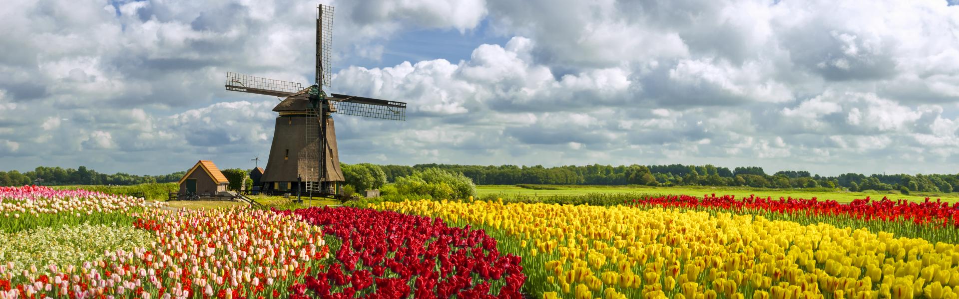Location de vacances, Pays-Bas - Vacances.com