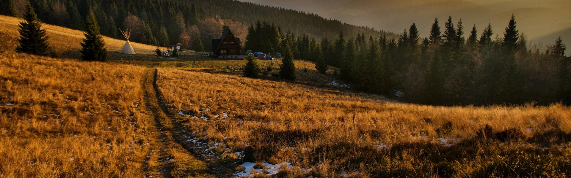 brown grass field during day time