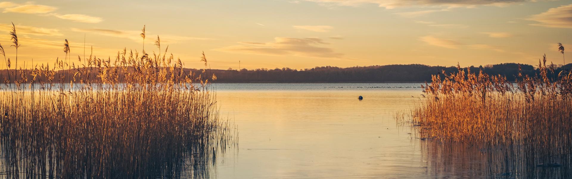 Ferienwohnung und Ferienhaus am Murtensee - e-domizil