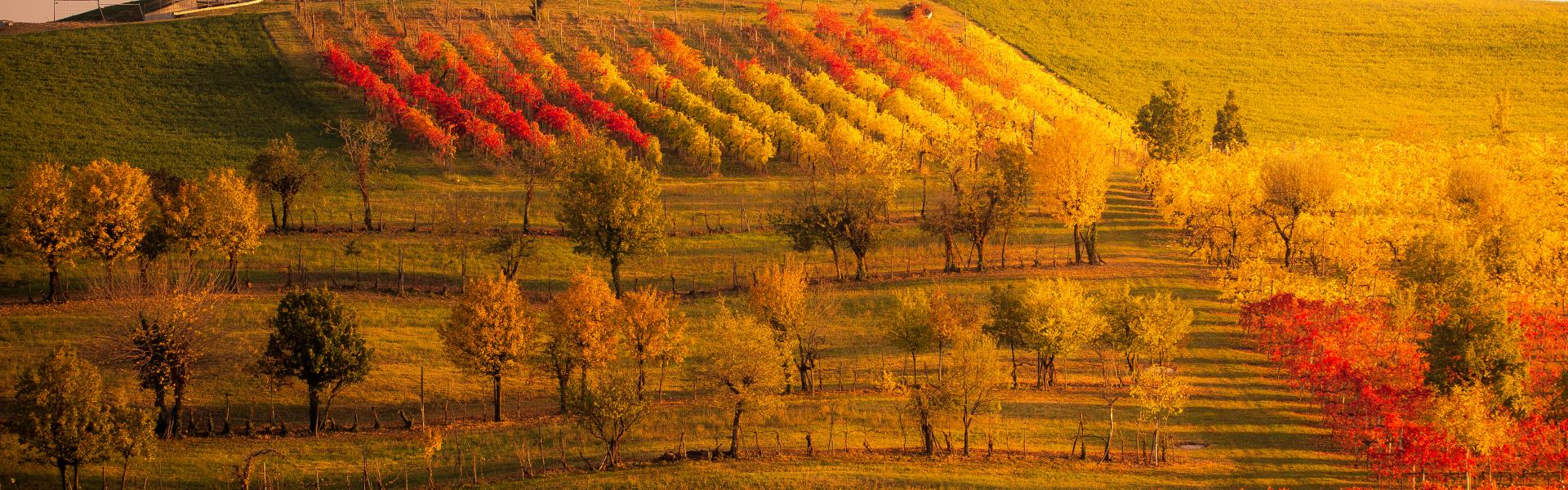 Emilia-Romagna Nature