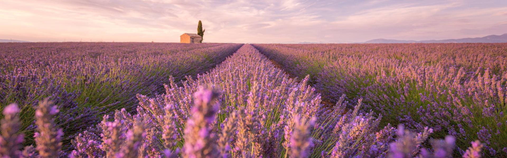 Provence Natural View