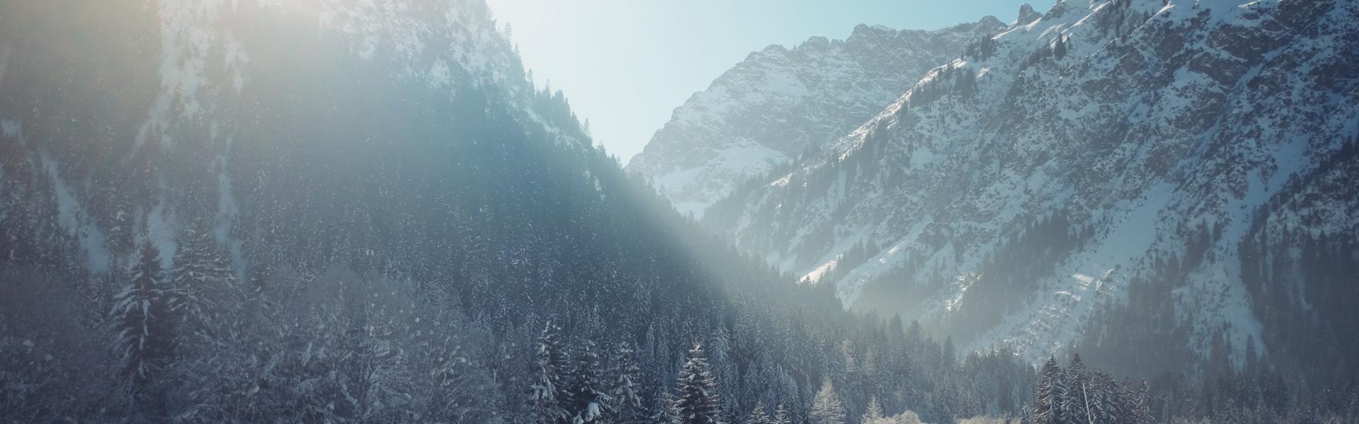 snowy mountain surrounded with trees
