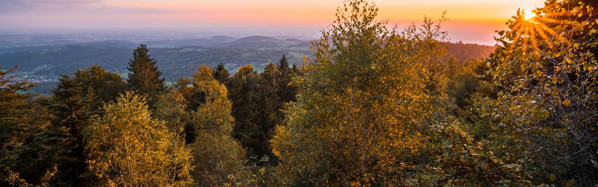 Bayerischer wald Natural View