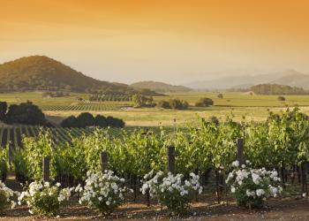 Napa Valley Vacation Rentals - HomeToGo