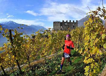 Valtellina Wine Trail 2018: Date, Percorsi, Territorio da Scoprire