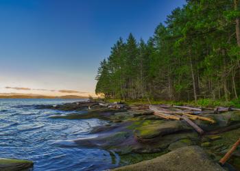 Have a fantastic seaside vacation in a Nanaimo vacation rental - HomeToGo