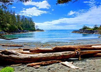 Experience Canada's surfing capital with Tofino vacation rentals - HomeToGo