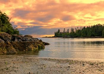 Holiday lettings & accommodation in Ucluelet