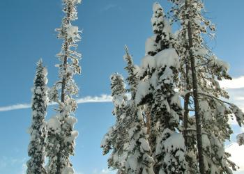 Fly down the slopes of Canada's Big White near your vacation rental - HomeToGo
