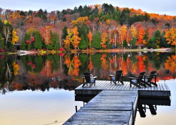 Enjoy a stay near Algonquin Park in a cosy rental cabin - HomeToGo