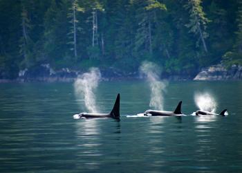 Prince Rupert Accommodations - HomeToGo