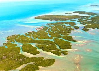 Vacation Rentals in the Florida Keys