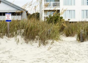 Vacation Rentals in Atlantic Beach - HomeToGo