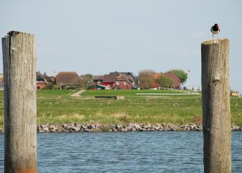 Deine Ferienwohnung Hooge - zauberhafte Halligwelt entdecken - HomeToGo