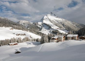 Vakantie in de Alpen: de voordelen van een vakantiehuisje in Warth - HomeToGo