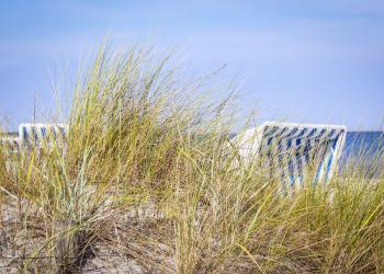 Holiday houses & accommodation Zingst