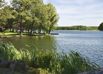 Ferienwohnungen in der Flößerstadt Lychen - HomeToGo