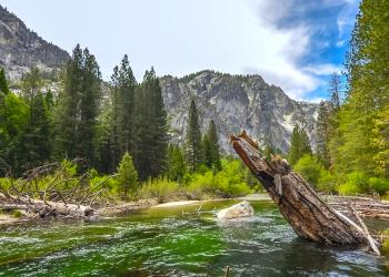 See the great outdoors with holiday lettings in Sequoia National Park - HomeToGo