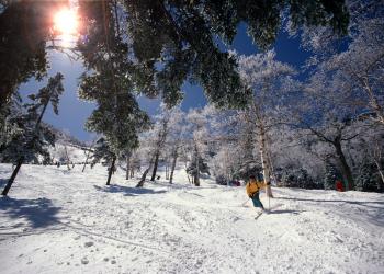 Stay in vacation rental in the world-class ski resort of Killington - HomeToGo