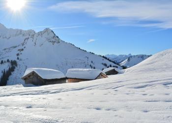 Ferienwohnung in Damüls – Naturparadies in Vorarlberg - HomeToGo