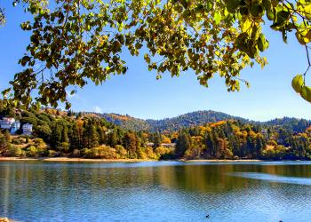 Cute alpine cabins, California: vacation rentals in Green Valley Lake - HomeToGo