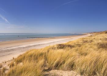 Ruhiger Urlaub in den Dünen – Ferienwohnungen in Dishoek - HomeToGo