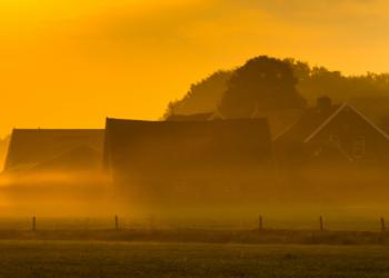 Een vakantiehuisje in de natuur in Holten - HomeToGo