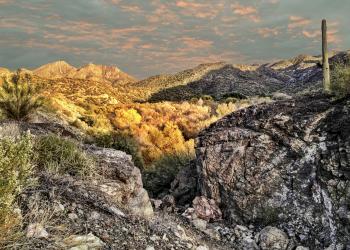 Discover majestic Rim Country from a vacation home in Pine - HomeToGo