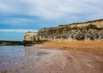 Find a variety of charming vacation rentals in Margate by the sea - HomeToGo