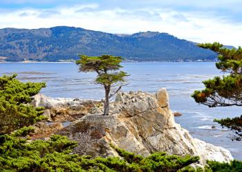 Vacation Rentals in Monterey - HomeToGo