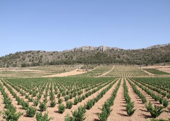 Alojamientos y casas rurales en Moratalla - HomeToGo