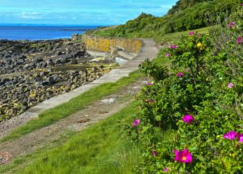 Holiday Cottages in the Fife and St Andrews - HomeToGo