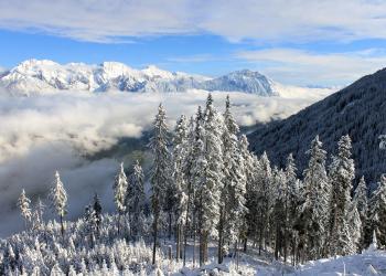 10 cose da fare in Trentino in inverno