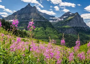 Unlimited nature with a holiday home at Glacier National Park - HomeToGo