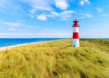Wind, Wellen und Wattenmeer – Urlaub in einer Ferienwohnung in Ostfriesland - HomeToGo