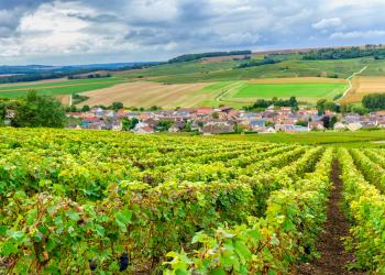 Ferienwohnungen in Reims: Zwischen Kultur und Champagner - HomeToGo