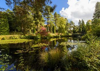 Royal Tunbridge Wells holiday cottages in Kent, the Garden of England - HomeToGo