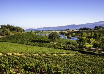 Discover wine and valleys with a St. Helena vacation rental - HomeToGo