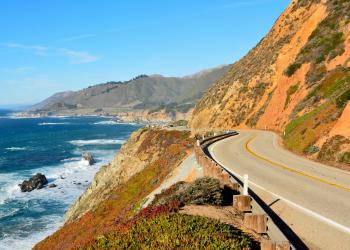 Vacation rentals for beach activities at Pajaro Dunes - HomeToGo