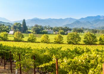 Enjoy relaxing Calistoga with a vacation home - HomeToGo