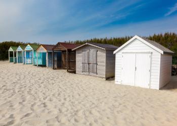 Explore charming Selsey with a holiday cottage - HomeToGo