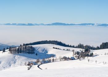 Ferienhaus in Vosges: seichte Hügel und elsässische Kultur - HomeToGo