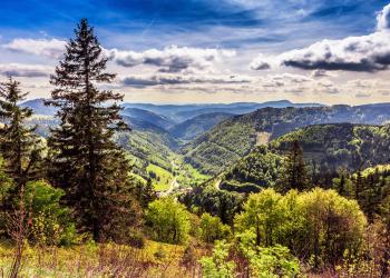 Urlaub im Tal der der hundert Täler - ihre Ferienwohnung in Münstertal - HomeToGo