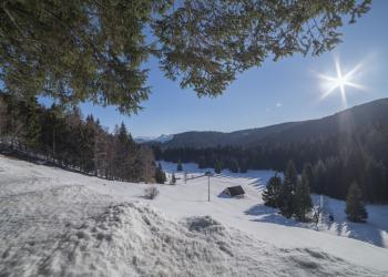 Appartamenti e case vacanza a Folgaria - HomeToGo