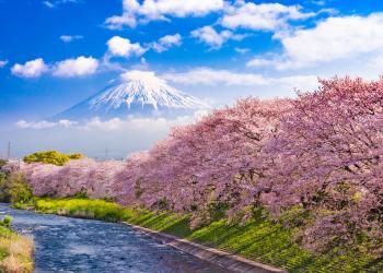 Holiday lettings & accommodation in Japan