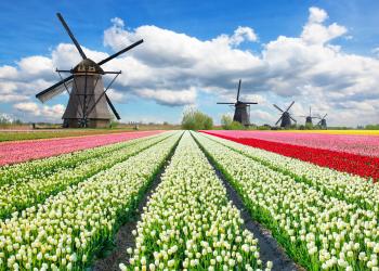 Ferienwohnungen und Ferienhäuser in Holland