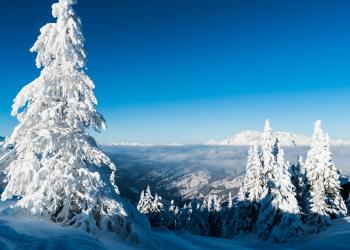 Oostenrijks winter- en zomerplezier vanuit uw vakantiehuis in Wagrain - HomeToGo