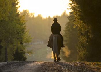 Horse Riding Holidays in the UK - HomeToGo