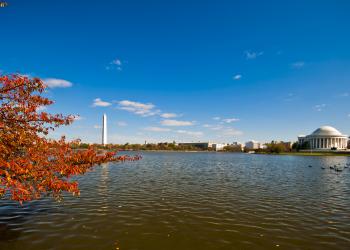 Enjoy a central location close to D.C. with Alexandria vacation homes - HomeToGo
